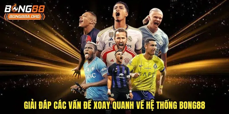 Giải đáp các vấn đề xoay quanh về hệ thống Bong88