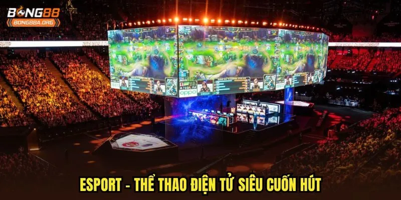 Esport - Thể thao điện tử siêu cuốn hút