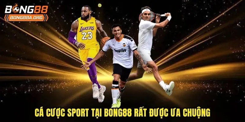 Cá cược sport tại bong88 rất được ưa chuộng