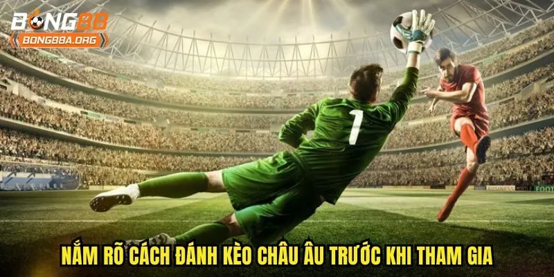 Nắm rõ cách đánh kèo châu Âu trước khi tham gia