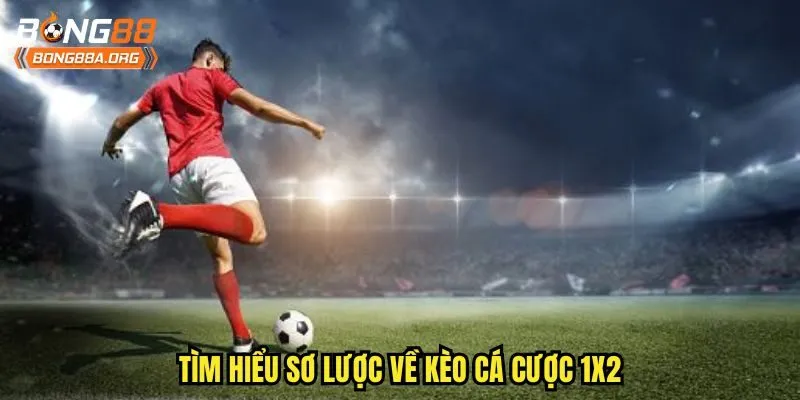 Tìm hiểu sơ lược về kèo cá cược 1x2