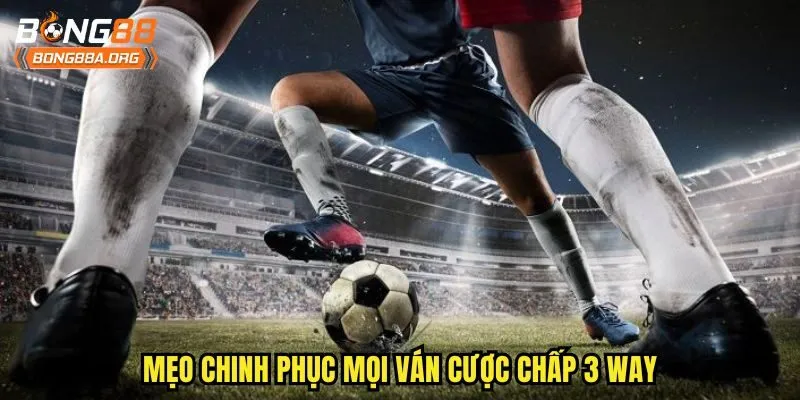 Mẹo chinh phục mọi ván cược chấp 3 way