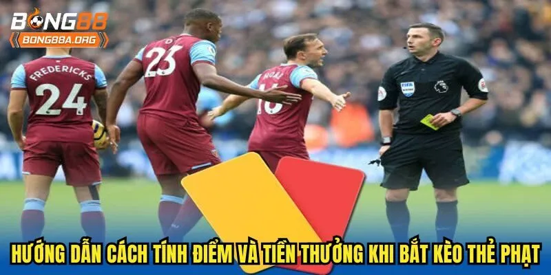 Hướng dẫn cách tính điểm và tiền thưởng khi bắt kèo thẻ phạt